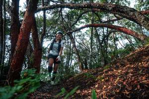 BIB: 
                            <button type="button" onclick="openModal(26344942)" class="btn btn-primary btn-sm float-right btn-popup" data-toggle="modal" data-target=".modal-high-quality">
                        <i class="fas fa-shopping-cart"></i> Add to Cart
                    </button>
                                            <button type="button" onclick="isThisMe(26344942, true)" class="btn btn-success btn-sm float-right btn-popup btn-isme hidden" data-toggle="tooltip" data-placement="bottom" title="นี่คือรูปของคุณใช่ไหม คลิกที่นี่เพื่อเอาเข้าอัลบั้ม">
                        <i class="fas fa-plus"></i> Add to album
                    </button>
                    <button type="button" onclick="isThisMe(26344942, false)" class="btn btn-warning btn-sm float-right btn-popup btn-isnotme hidden">
                        <i class="fas fa-ban"></i> Remove from album
                    </button>